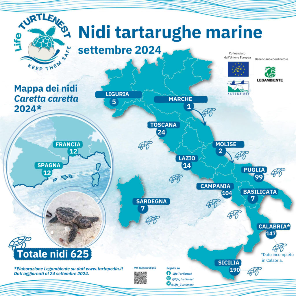 2024 settembre nidi tartaruga marina