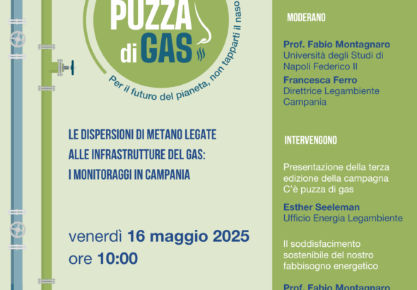 C'è puzza di GAS_locandina