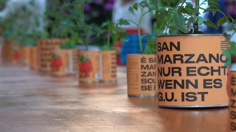 s.marzano1