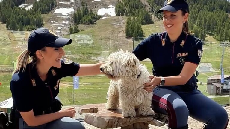 Spot polizia di Stato contro l'abbandono degli animali 2025 _ foto frame video ufficio stampa questura di Verona